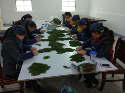 白云春毫茶叶厂