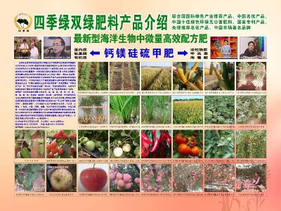 威海市威京四季绿肥业集团有限公司