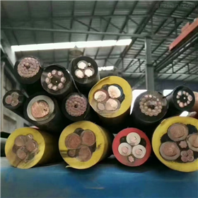 天津电缆总厂橡塑电缆厂