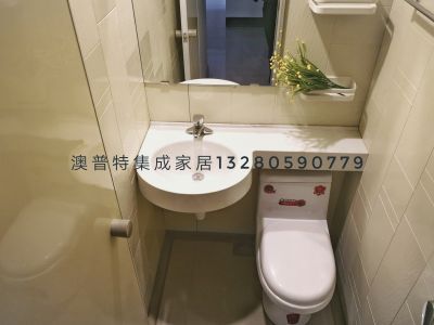 临沂澳普特集成家居有限公司