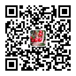 泰安红旗樱桃专业合作社