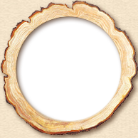 宁波宁飞木制品厂