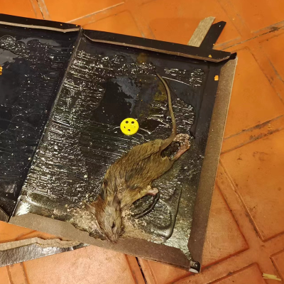 陕西绿标环保科技有限公司