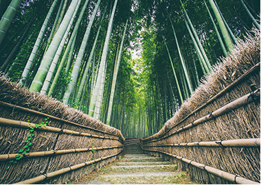 丹阳嘉兴花卉种植有限公司