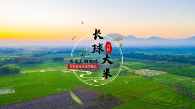 台山市长球储运有限公司