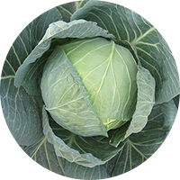 镇江鑫源达园艺科技有限公司