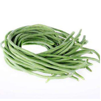 南京万邦种业有限公司