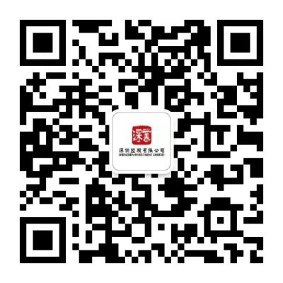 深圳控股有限公司