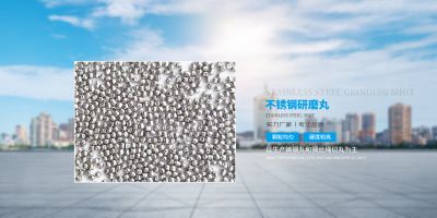 盐城市苏北龙金属磨料有限公司