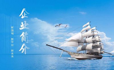 广东德豪锐拓显示技术有限公司