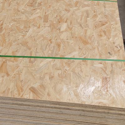 费县鑫盛源板材厂