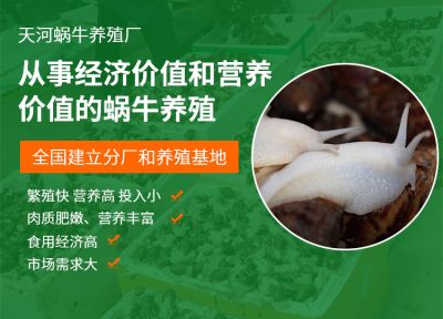 新乡县七里营天河蜗牛养殖厂
