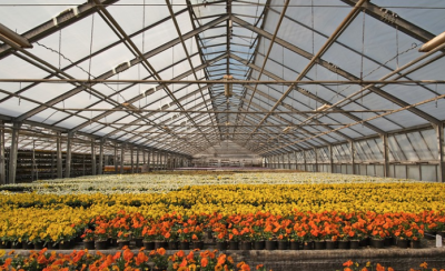 浙江太阳神机电科技有限公司