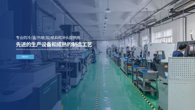 嘉兴耐思得模具科技有限公司