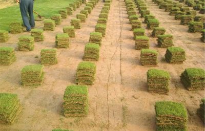 淮南万城园林绿化工程有限公司