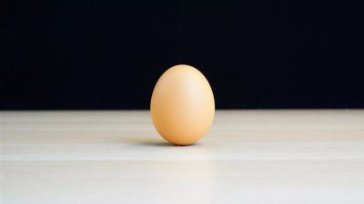 陕西秦露农业科技有限公司