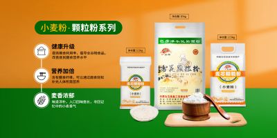 内蒙古五原县三宝面业有限责任公司