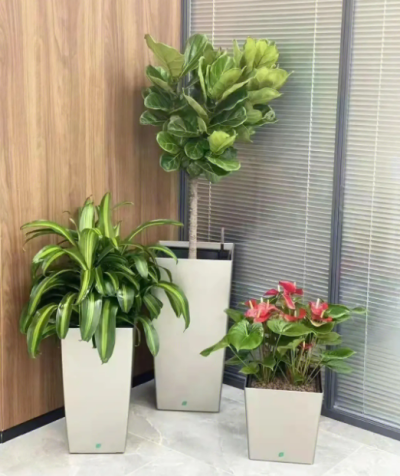 宜兴暗香园艺有限公司