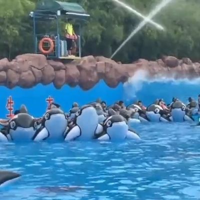 河南省瀚宇游乐设备有限公司