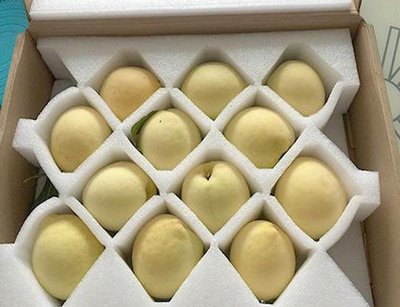 云南凯希包装材料有限公司