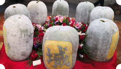 台山市嘉乐城食品厂