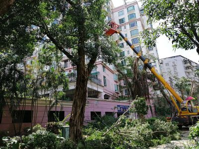 广州金跃园林绿化工程有限公司