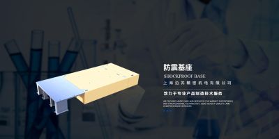 上海泊苏精密机电有限公司