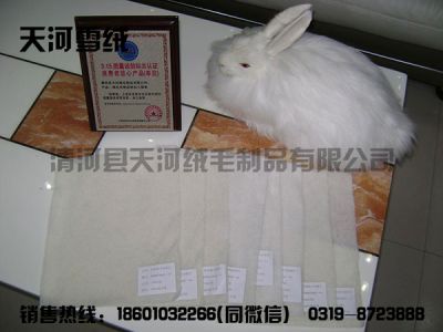 清河县天河绒毛制品有限公司