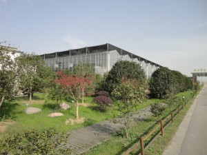 青岛东山温室有限公司