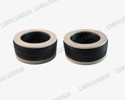 江苏帝牌阀密封系统有限公司