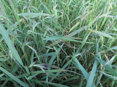 沭阳县三点水商贸有限公司