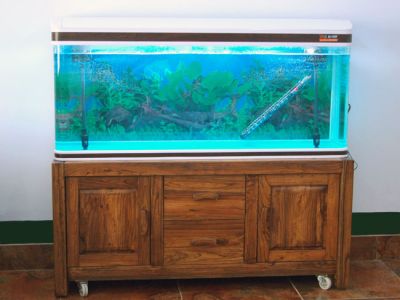 山东淄博睿智老榆木家具有限公司