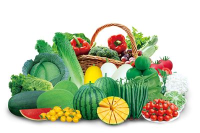 河南豫艺种业科技发展有限公司