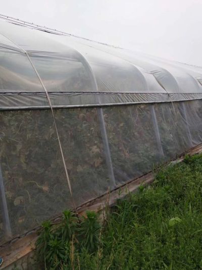 山东为农塑业有限公司