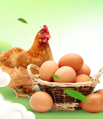 亳州市海川蛋制品有限公司