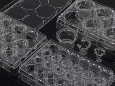 鑫力谱（山东）生物科技有限公司