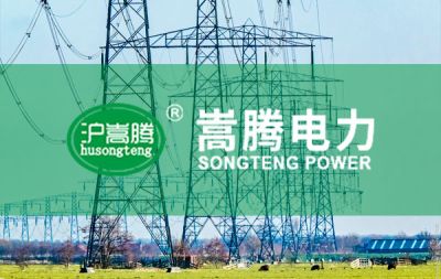 上海嵩腾电力设备有限公司