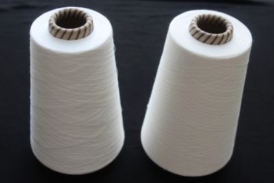 新乡市绿色纱线精纺有限公司