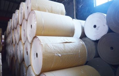 潍坊友谊纸业股份有限公司