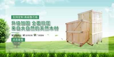 仪征市致远包装制品有限公司