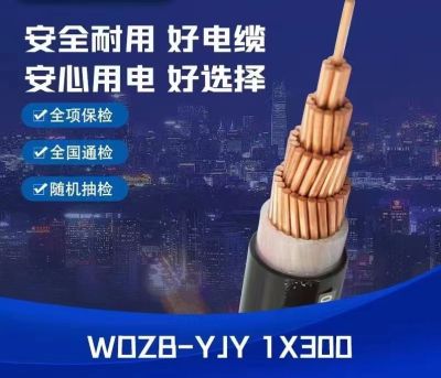 广东中业国际电缆有限公司