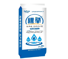 烟台巴内达进出口有限公司