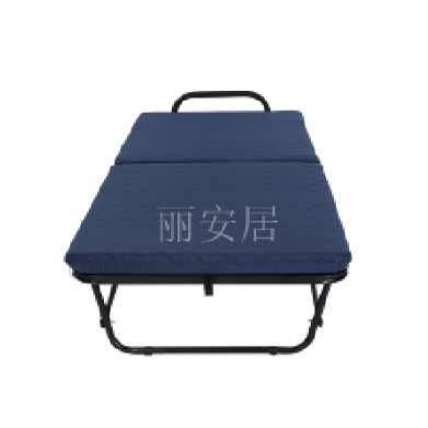 广东丽安居家具制造有限公司