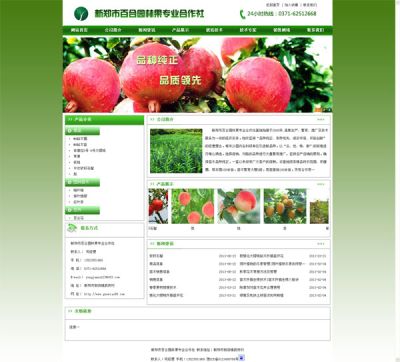 河南郑州网站建设推广有限公司