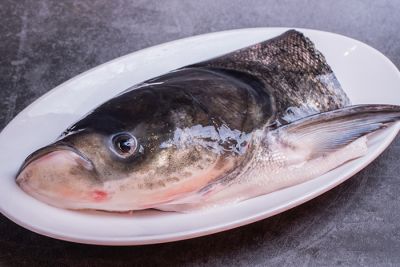 河南丹江天池渔业发展有限公司